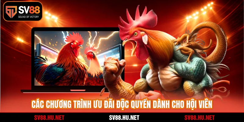 Các chương trình ưu đãi độc quyền dành cho hội viên