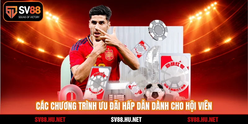 Các chương trình ưu đãi hấp dẫn dành cho hội viên