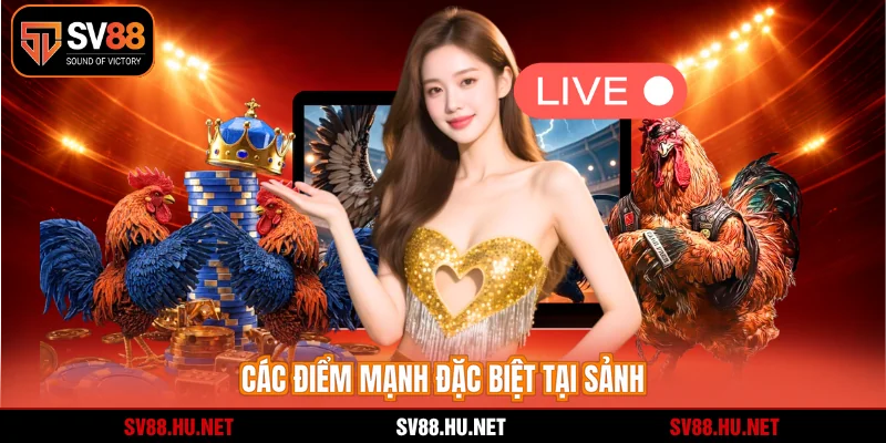 Các điểm mạnh đặc biệt tại sảnh