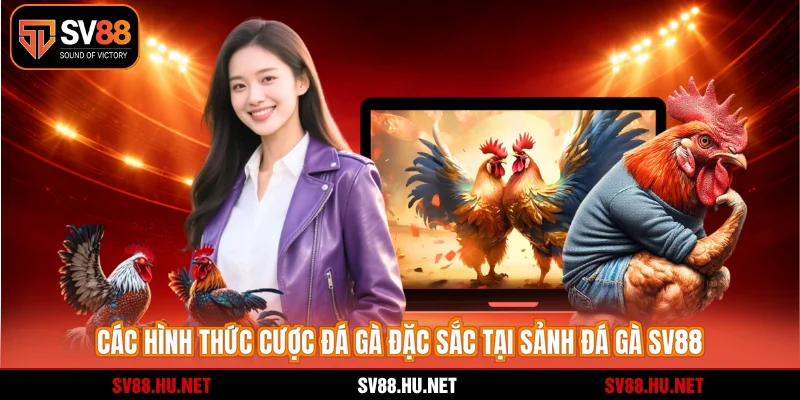 Các hình thức cược đá gà đặc sắc tại sảnh đá gà SV88