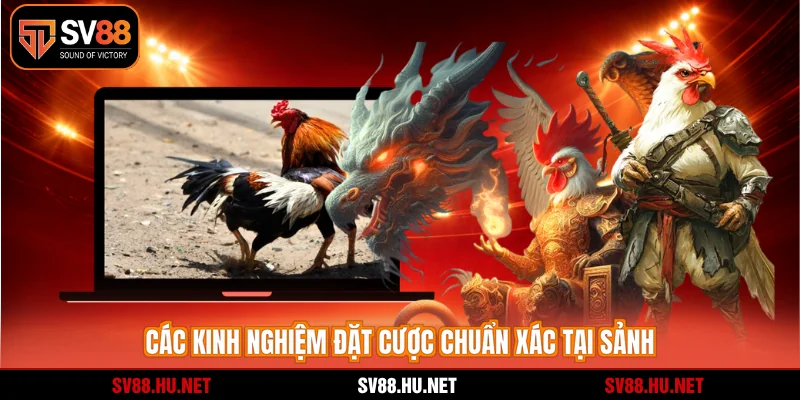 Các kinh nghiệm đặt cược chuẩn xác tại sảnh