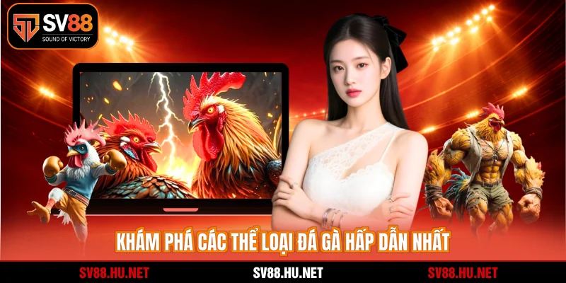 Khám phá các thể loại đá gà hấp dẫn nhất