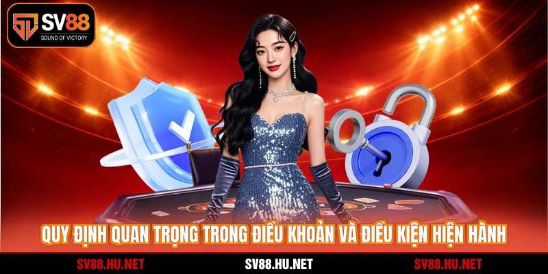 Quy định quan trọng trong điều khoản và điều kiện hiện hành